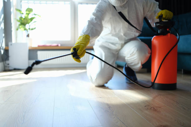 Reliable Infectious Disease Decontamination contractor in Rio Linda, CA by Crime Scene Cleaner Online